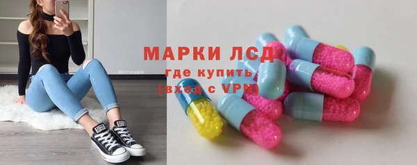 индика Бронницы